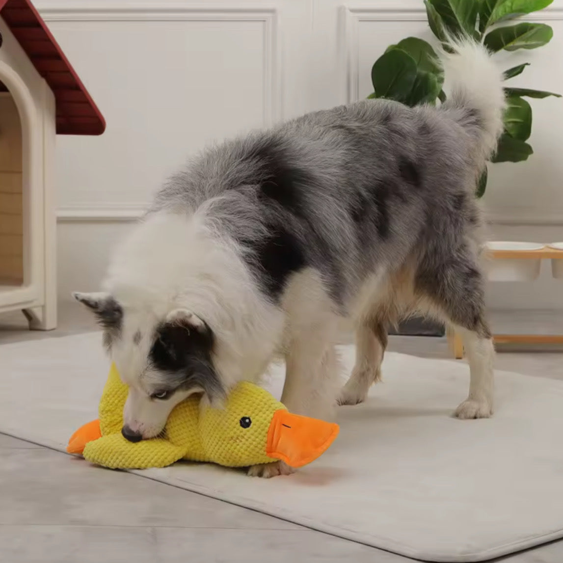 Juguete de Peluche Pato Dormilón para Perros