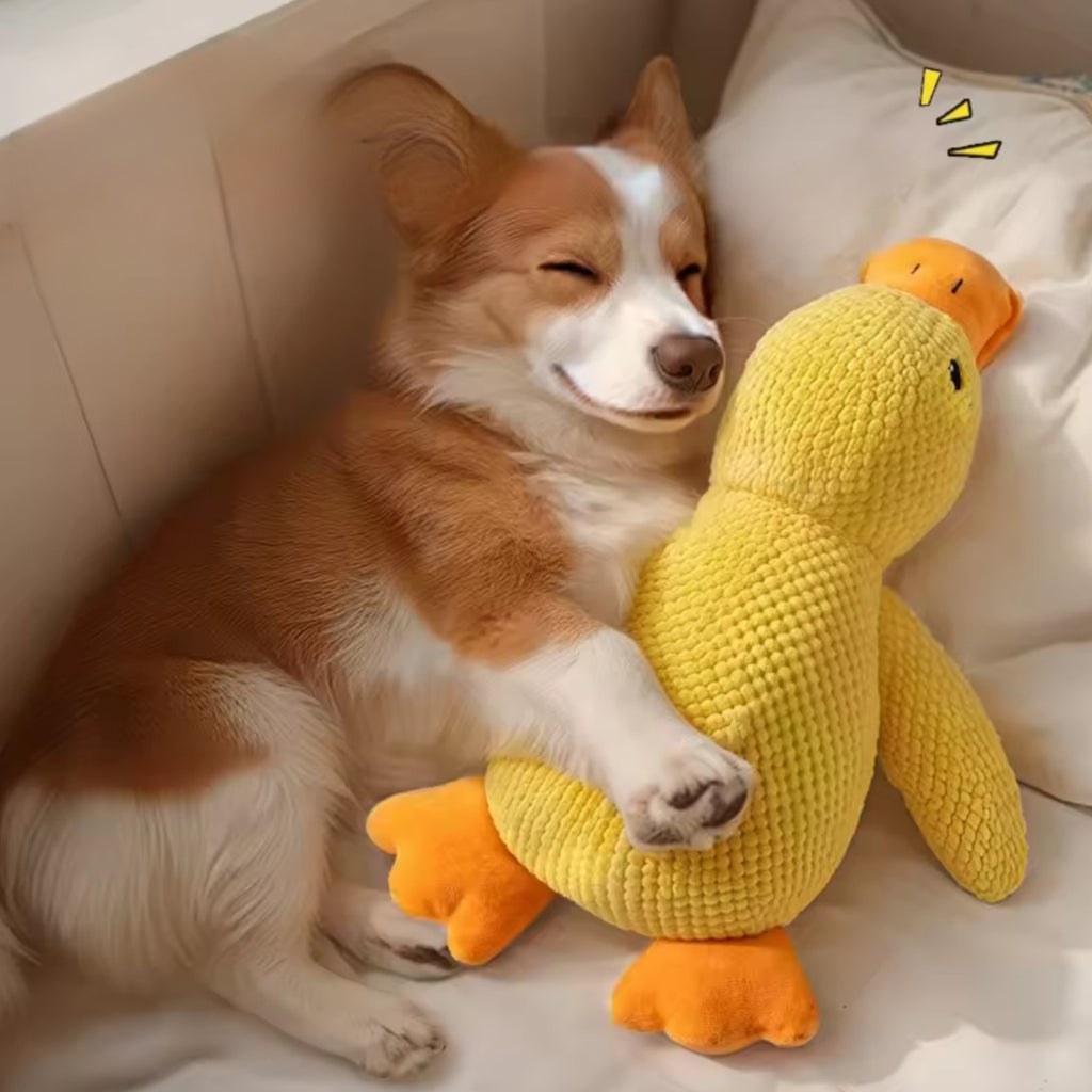 Juguete de Peluche Pato Dormilón para Perros