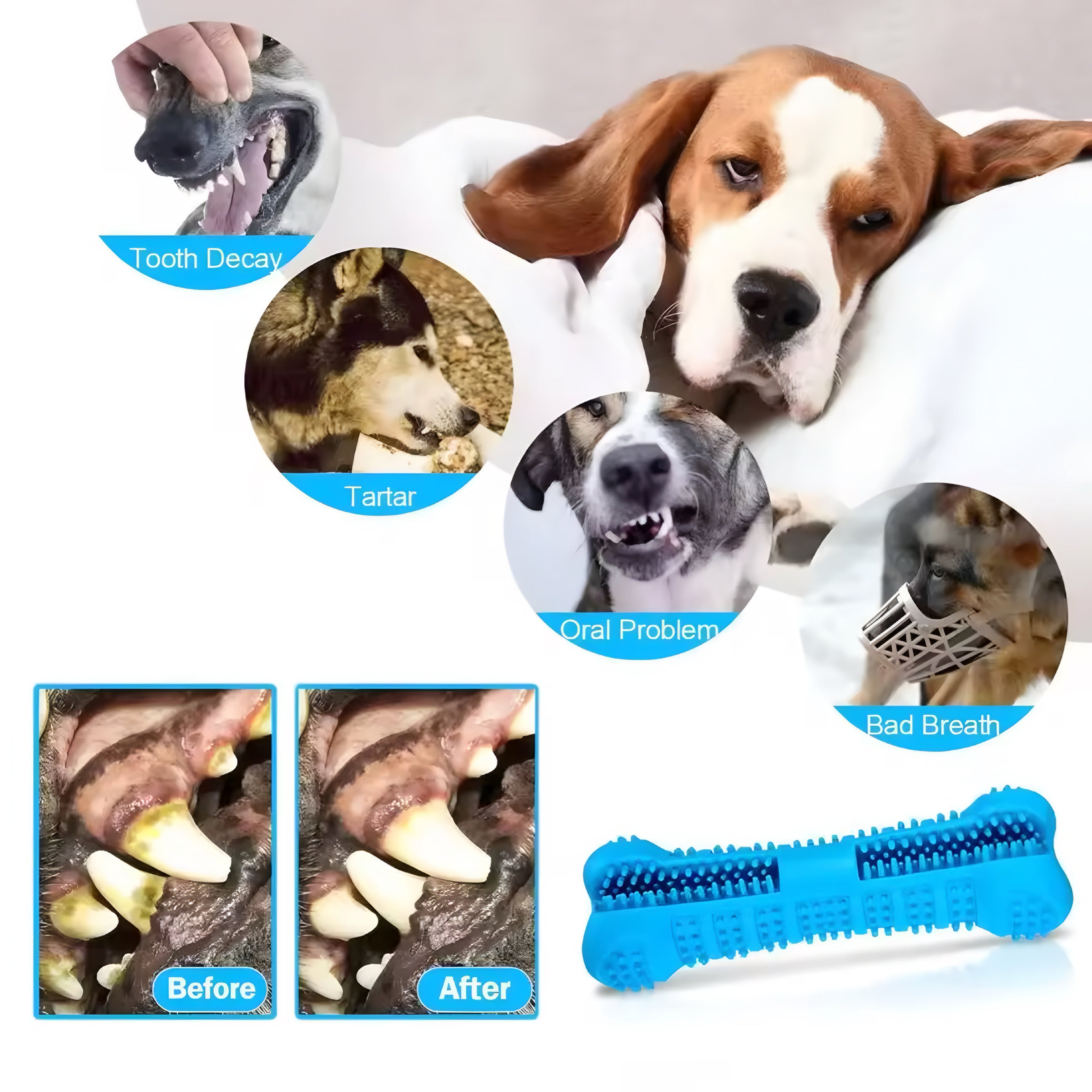 🦷 Cepillo de Dientes y Juguete para Perros 360° – Limpieza y Diversión en Uno