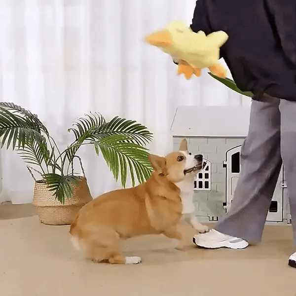 CalmaDuck™ – El peluche calmante para perros