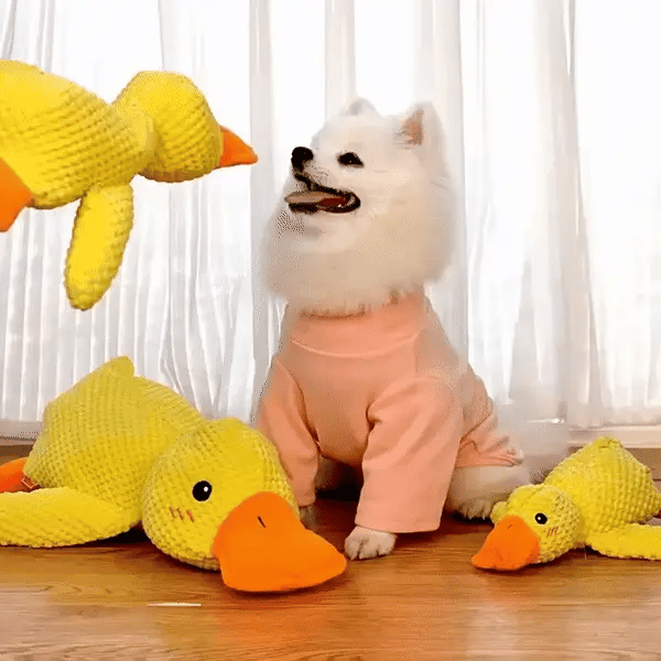 CalmaDuck™ – El peluche calmante para perros